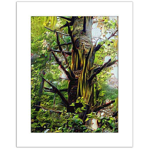 NC Sentinel Print, Giclee